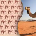 Samo će moderni "Sherlock Holmes" pronaći čudnu devu: zagonetka za