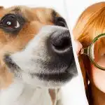 Samo pravi IQ titan će vidjeti psa u snijegu za