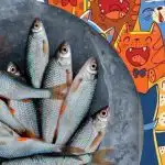 Trebate pronaći ribu među mačkama: zabavna zagonetka za ljude s